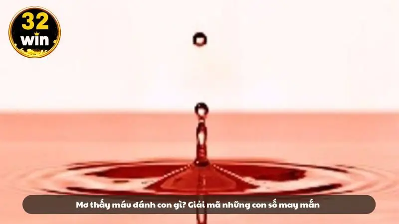 Mơ thấy máu đánh con gì? Giải mã những con số may mắn