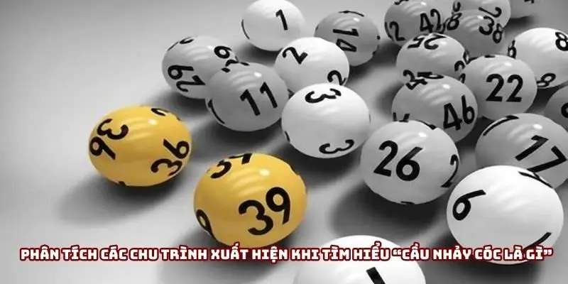 Phân tích các chu trình xuất hiện khi tìm hiểu “Cầu nhảy cóc là gì” Phân tích các chu trình xuất hiện khi tìm hiểu “Cầu nhảy cóc là gì”